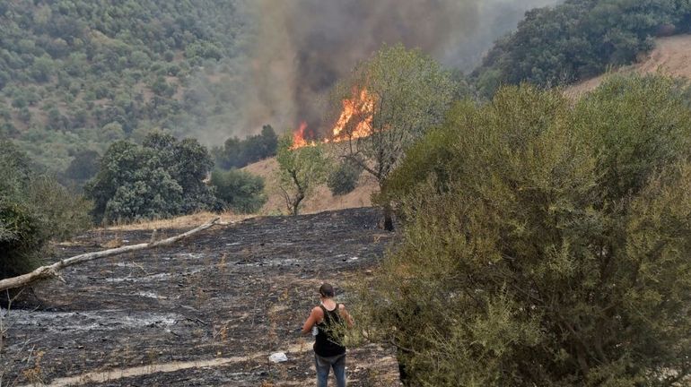 Algérie: la majorité des incendies maîtrisés, des pyromanes présumés interpellés