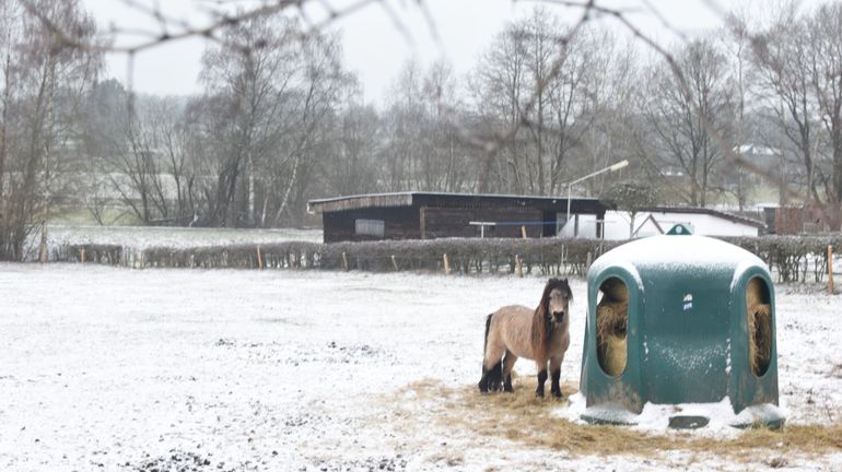 La neige est de retour en Belgique : quelles sont les dernières prévisions ?