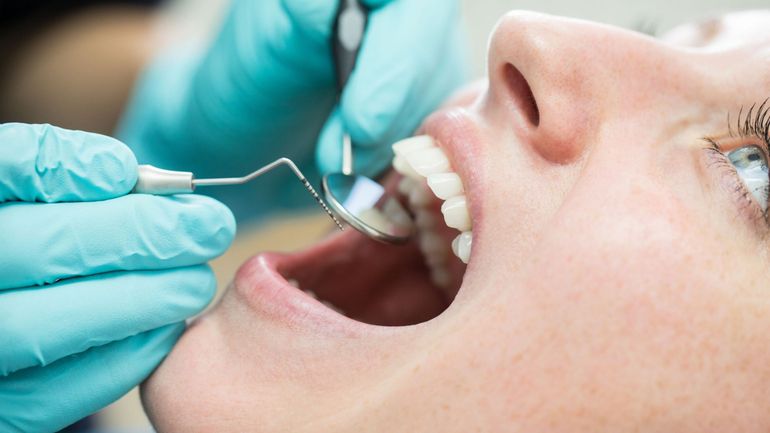 La Flandre approuve l'organisation d'un cursus en dentisterie à la VUB