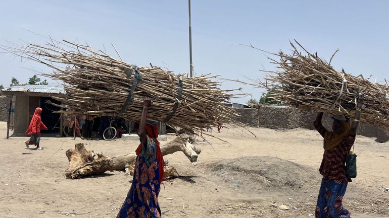 Attentat-suicide au Nigeria : une attaque imputée à Boko Haram fait au moins 20 victimes parmi les combattants anti-jihadistes