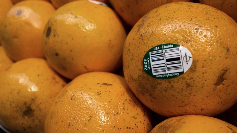 Le prix des oranges risque de monter en flèche suite au passage de l'ouragan Milton