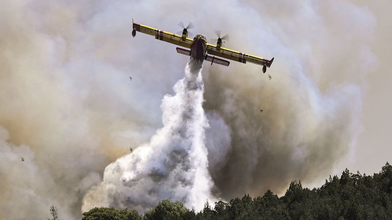Feux de forêt en Grèce : un avion bombardier d'eau s'est écrasé en luttant contre les flammes