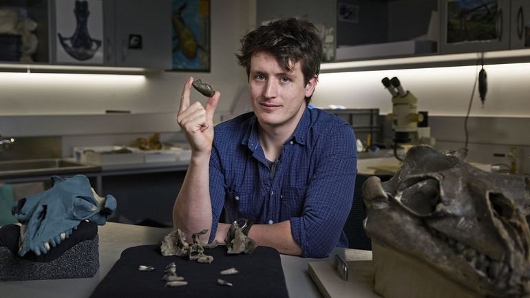 Sciences : découverte d'une baleine préhistorique en Australie
