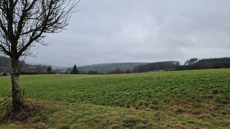 Météo en Belgique : de la grisaille, du vent jusqu’à 60 km/h et de la douceur pour commencer cette semaine