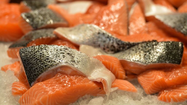 COP28 : le saumon atlantique sur liste rouge des espèces 