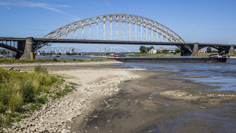 Pays-Bas : la pénurie d'eau est désormais officielle en raison de la sécheresse