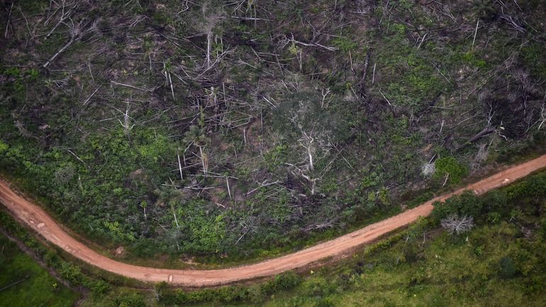 Amazonie : une ONG autrichienne dépose une plainte pour 
