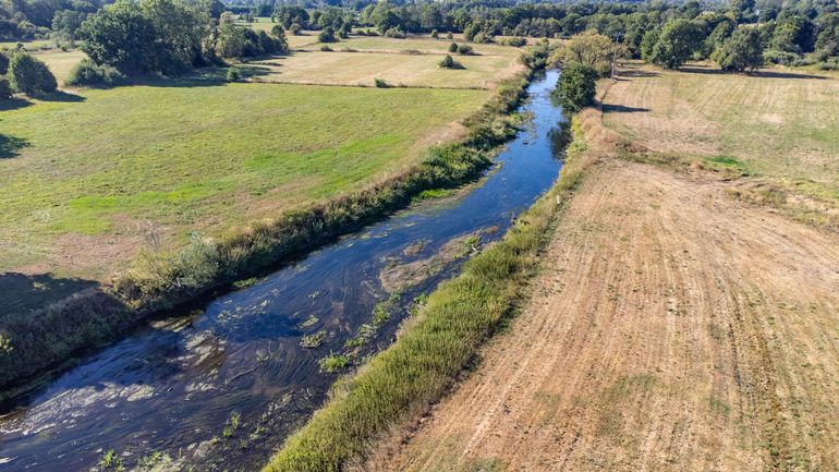 Intempéries : plusieurs cours d'eau en pré-alerte de crue en Wallonie