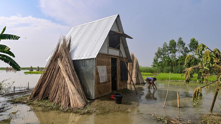 Au Bangladesh, des &#34;petites maisons&#34; pour résister aux inondations géantes