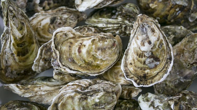 Carrefour rappelle des huîtres en raison de la présence potentielle de la bactérie E.Coli