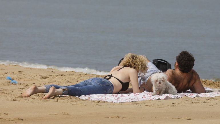 Résidents présents et touristes d'un jour très nombreux : ce 15 août, la Côte belge a enregistré son record d'affluence de l'été