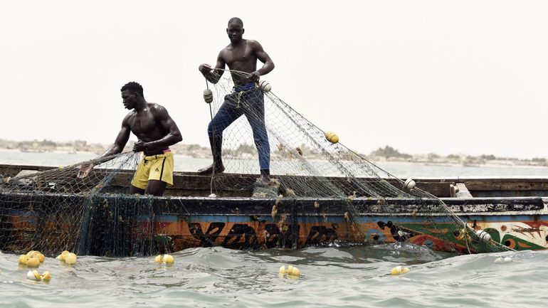 Afrique de l'Ouest: farine et huile de poisson privent les populations d'aliments