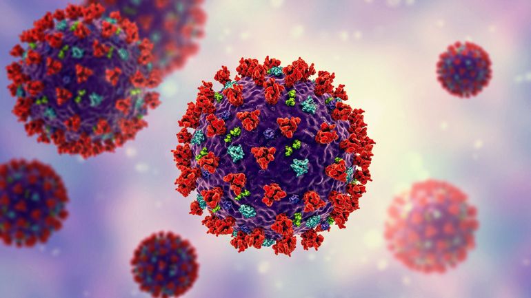 Coronavirus : ce que l'on sait à propos du 