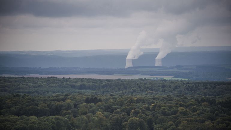 France: après l'arrêt d'une centrale nucléaire, des contrôles peut-être nécessaires sur d'autres réacteurs