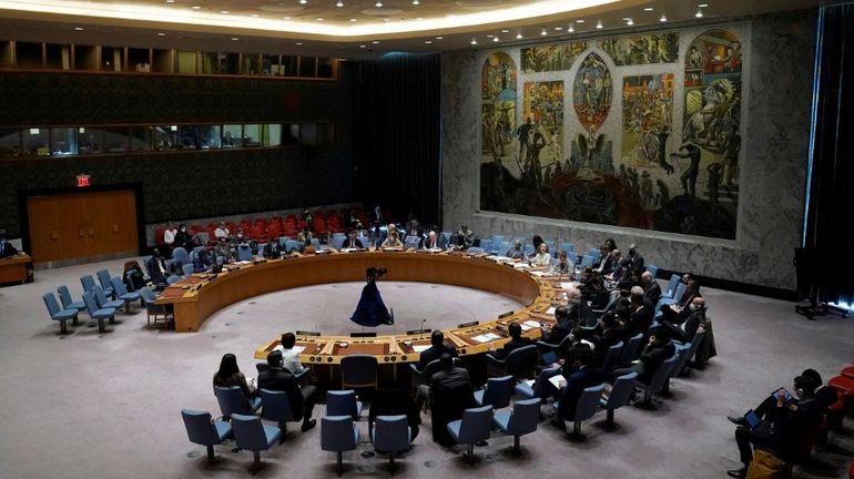 Somalie : le Conseil de sécurité de l'ONU crée une nouvelle force de paix contre les shebab