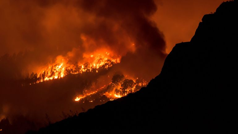 Incendies à Tenerife : quelles conséquences pour les touristes ?