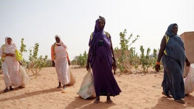 Mali : des experts de l'Onu réclament une enquête sur 