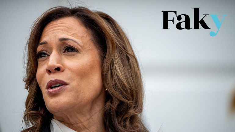 Kamala Harris inéligible à la présidentielle américaine en raison de ses origines ? C'est faux