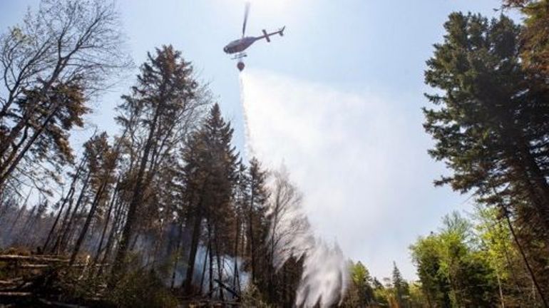 Canada : les incendies s'intensifient à nouveau dans l'ouest