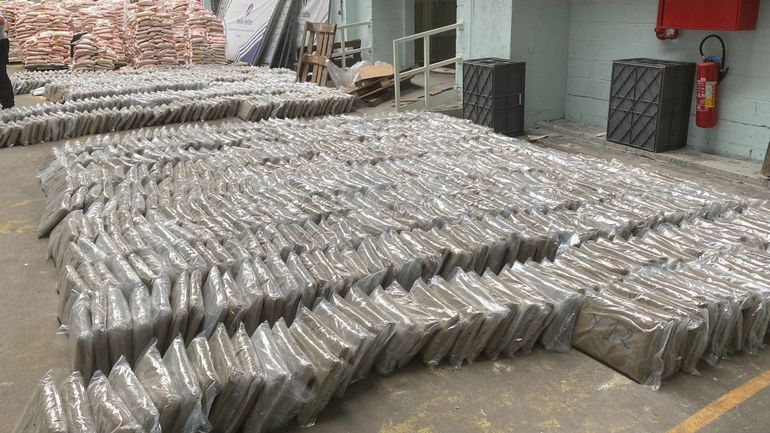 Enorme saisie de cannabis à Wavre : neuf tonnes découvertes dans un entrepôt