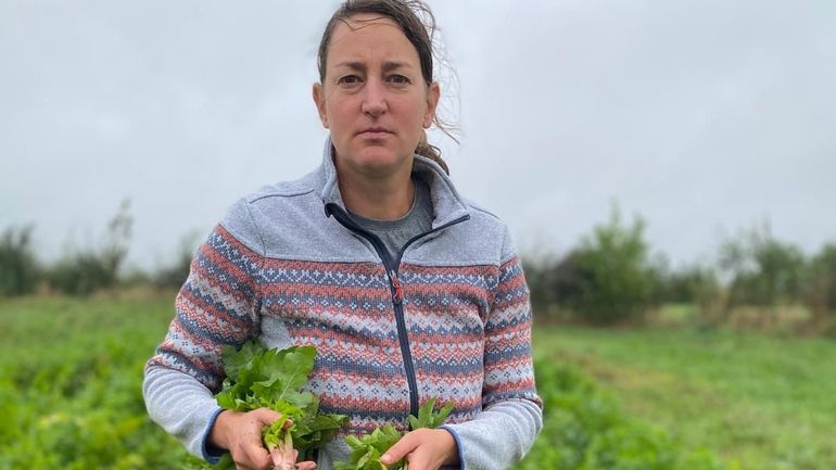 Les maraîchers durement touchés par le réchauffement climatique : à Willemeau, Sophie Cailliau s'interroge sur la pérennité du métier