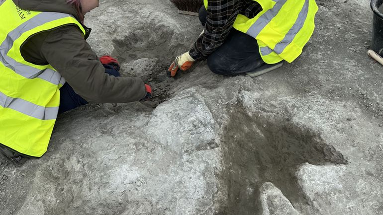 Royaume-Uni : près de 200 empreintes impressionnantes de dinosaures découvertes dans une carrière de l'Oxfordshire