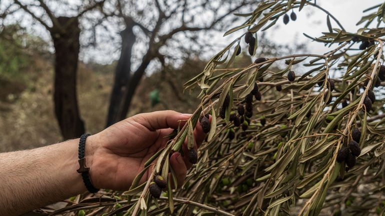 Un incendie dans le sud de l'Italie fait deux morts