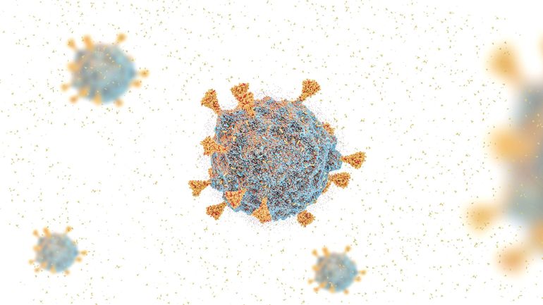 Coronavirus: deux nouveaux cas du variant Omicron découverts, portant le total à quatre en Belgique