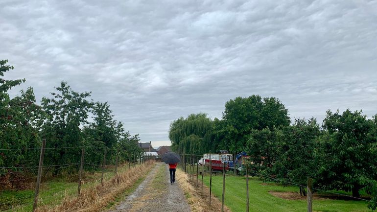 Météo en Belgique : grisaille et averses parfois orageuses pour ce vendredi, avec un avertissement jaune de l'IRM