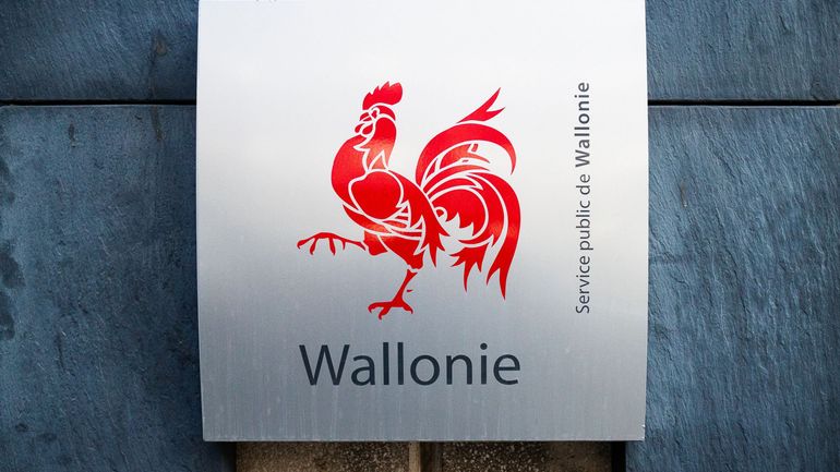 Journée d'action dans la fonction publique en Wallonie : pourquoi et à quoi s'attendre ce jeudi ?