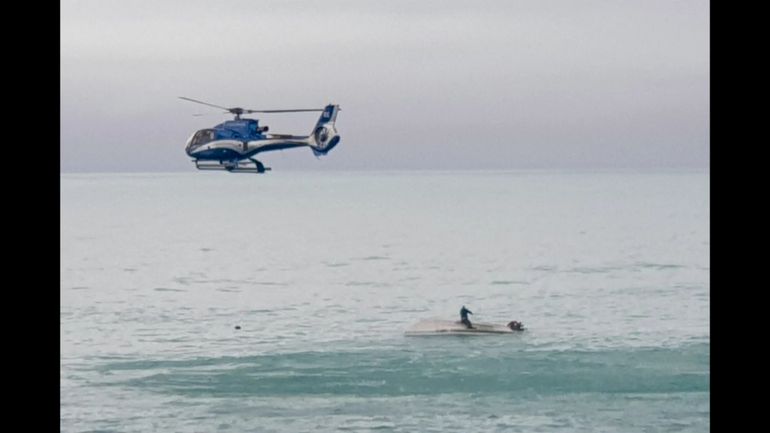 Nouvelle-Zélande : une collision avec une baleine fait cinq morts