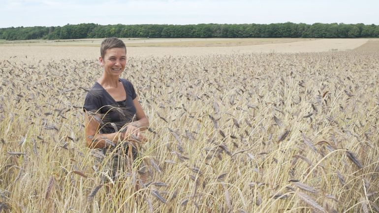 Des farines d'anciennes variétés de céréales pour plus de diversification