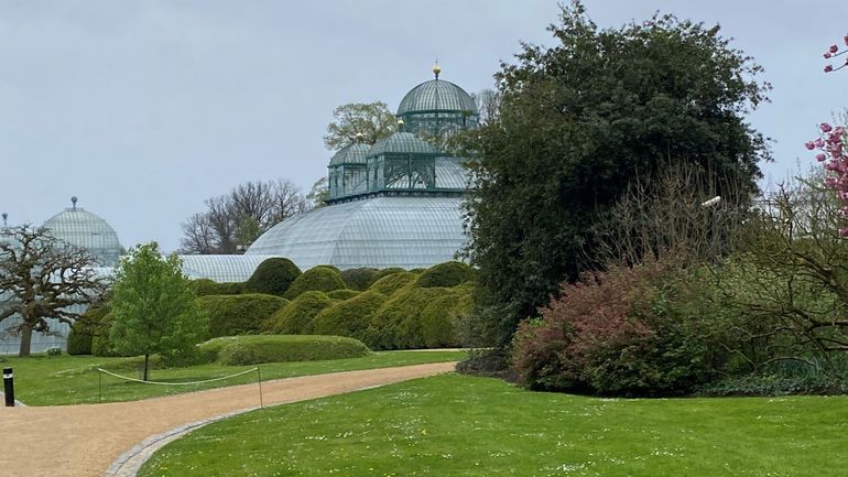 Les Serres Royales de Laeken accessibles au public du 18 avril au 11 mai