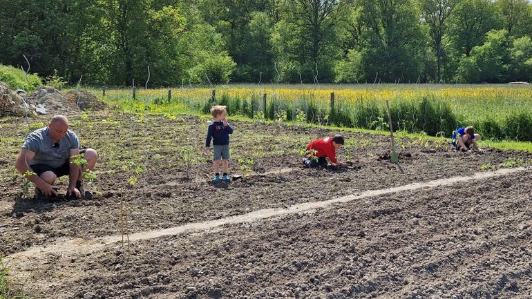 Les légumes des apprentis jardiniers, une initiative familiale inspirante