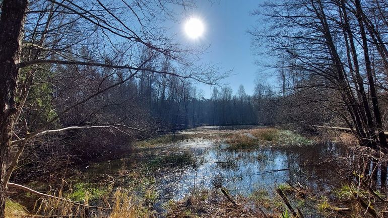 Météo en Belgique : grisaille sur la moitié nord et soleil sur la moitié sud ce vendredi