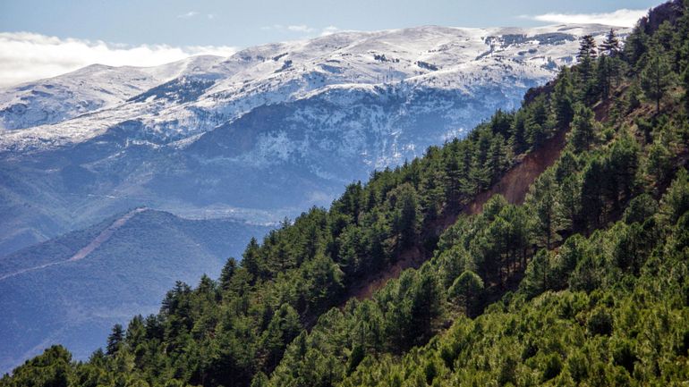 Un couple de randonneurs belges perdus dans la montagne a été sauvé par la garde civile espagnole