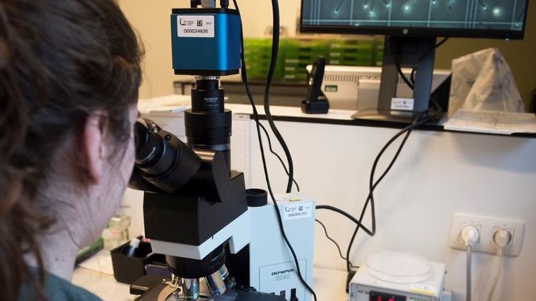 Quand l'IA est synonyme d'espoir dans le diagnostic et le traitement de l'infertilité masculine