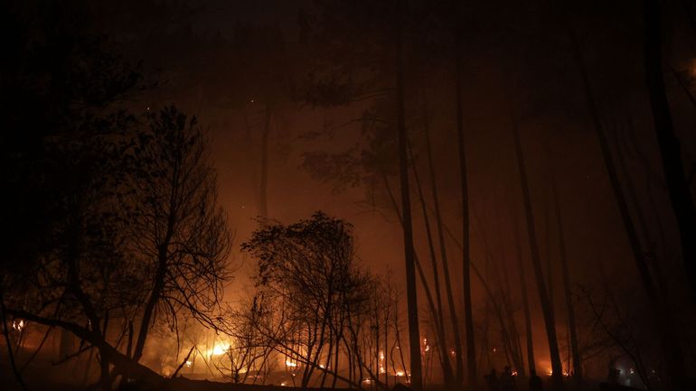 Feux de forêt en Gironde : plus de 9.000 hectares brûlés