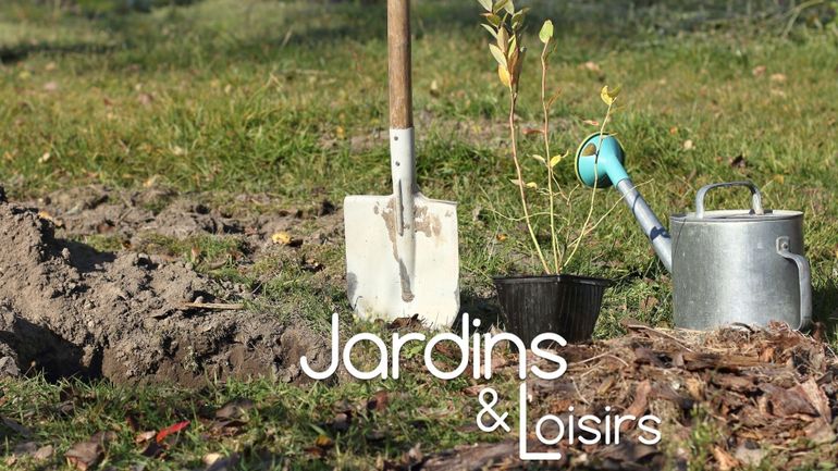 La bêche, un outil indispensable au jardin : conseils pour bien la choisir