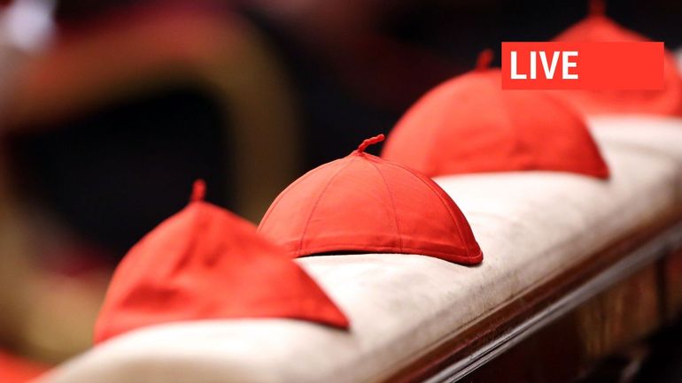 Direct : qui sera le 267e pape ? Le conclave débute ce mercredi pour désigner le successeur de François