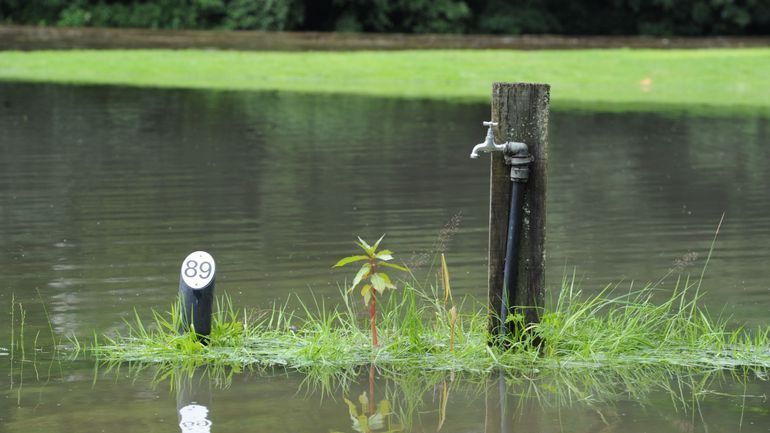 Levée de la phase de préalerte de crue pour plusieurs cours d'eau wallons