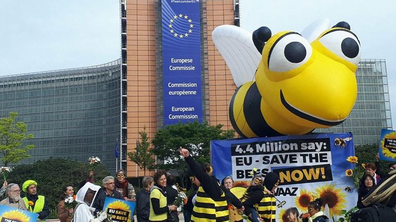 Insecticides tueurs d'abeilles : l'arrêt de la Cour de Justice Européenne met fin à la moitié des dérogations