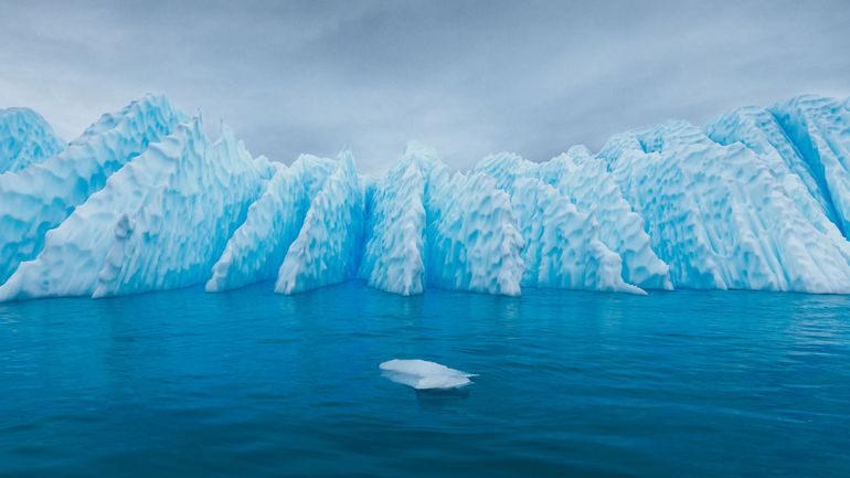 Antarctique : la tentative de créer la plus grande réserve marine du monde échoue à nouveau