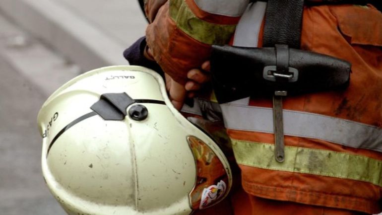Limbourg : des pompiers à l'oeuvre durant des heures pour éteindre un incendie de forêt à Maasmechelen