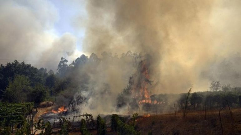 Plus de 343.000 hectares de forêts brûlés en Espagne depuis le début de l'année