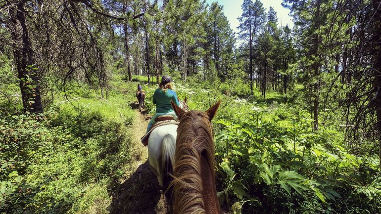 Le tourisme d'expérience à cheval ou à dos d’âne en Wallonie
