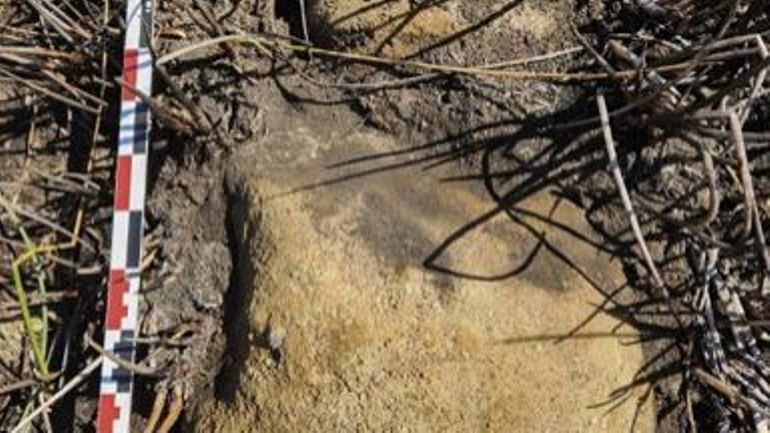 Ile de Pâques : une nouvelle statue découverte dans une lagune asséchée