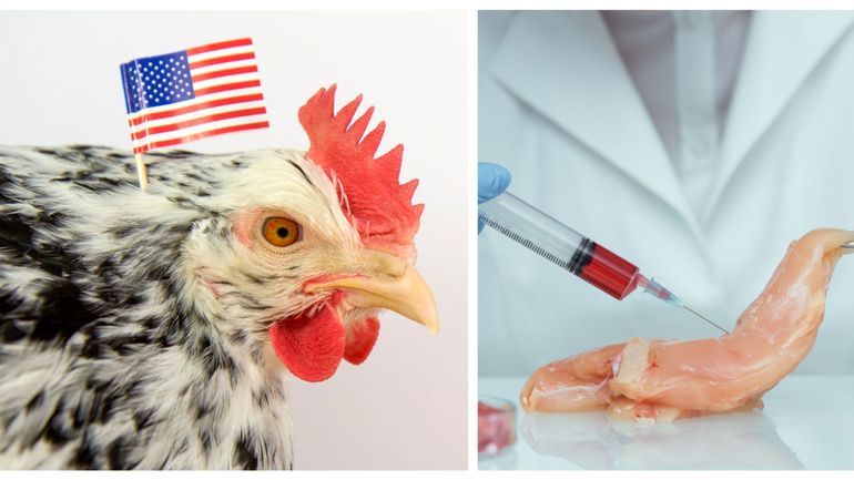 Les Etats-Unis approuvent la commercialisation de viande de poulet cultivée en laboratoire