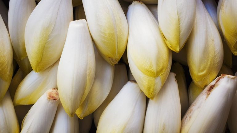 En hiver, quels sont les légumes locaux et de saison ?