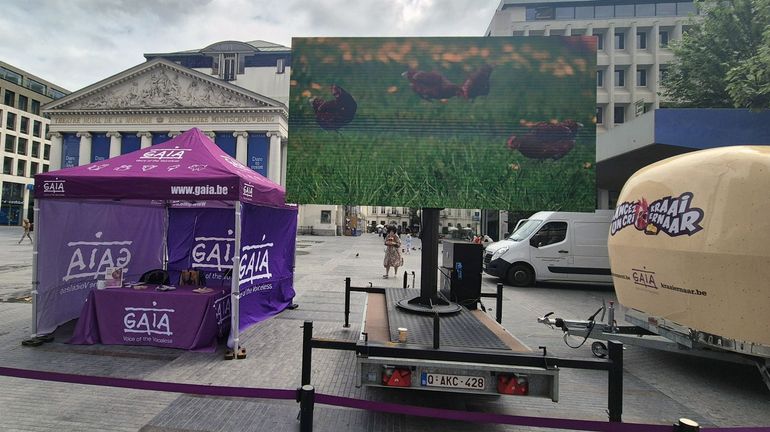 Gaia invite le public à lancer un 